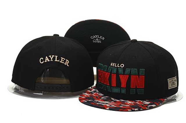 other brand hats-041